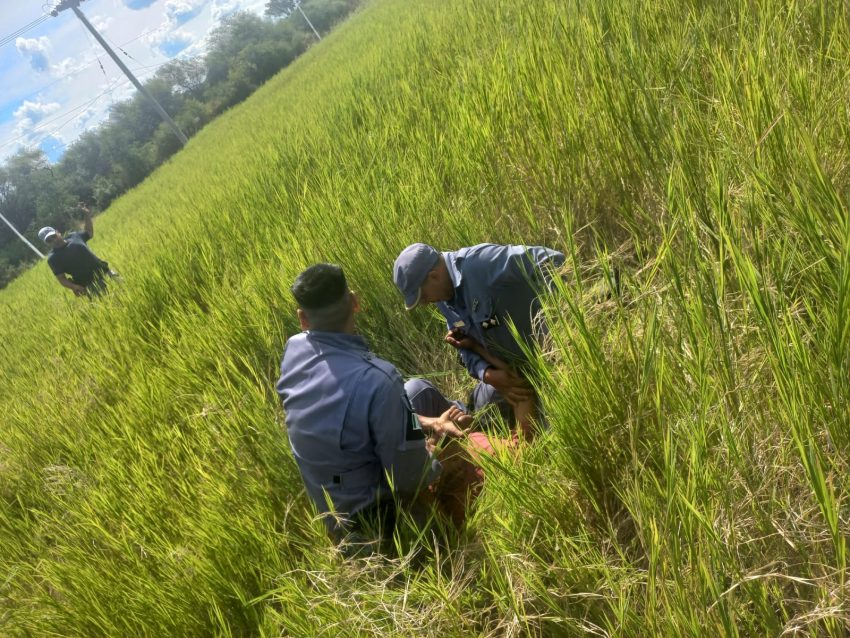 Todos votaban y él robaba: quedó todo grabado