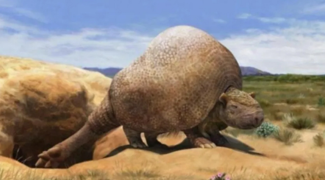 Hallaron restos fósiles de un armadillo gigante en el Chaco