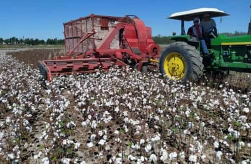 El gobierno provincial efectivizó ampliación de asistencia a algodoneros