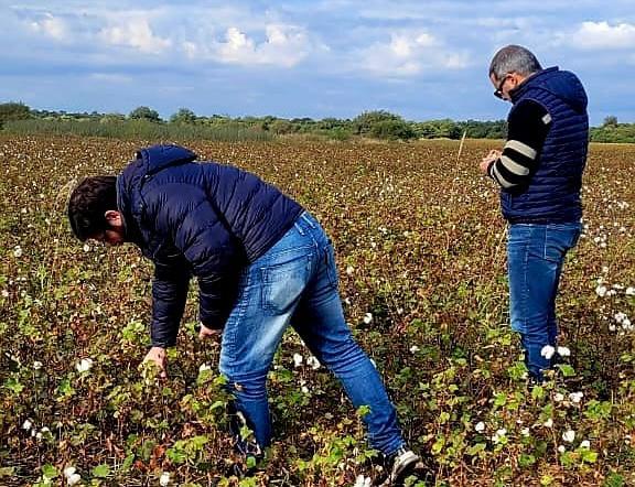 El Gobierno hace un seguimiento y verifica lotes de algodoneros asistidos