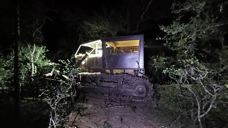 Operativos de fiscalización forestal: se logró detener un nuevo desmonte