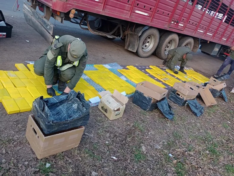 Más de 170 kilos de marihuana se incautaron en gran trabajo