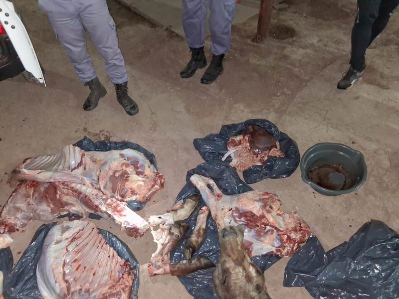 Detenidos y un herido por el caso de la piquetera