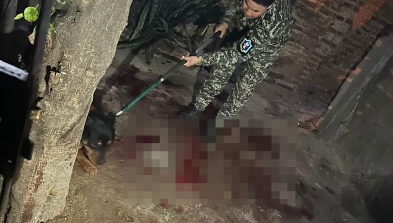 Una mujer está grave por el ataque de su perro