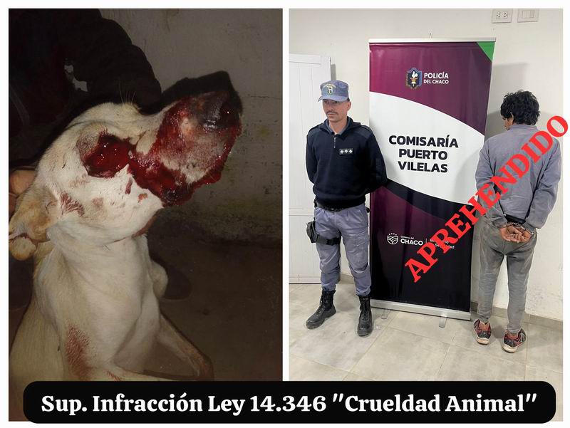 Metieron preso al terror de los perros del barrio