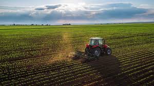 Papp destacó el esfuerzo y la herencia de los agricultores en su día