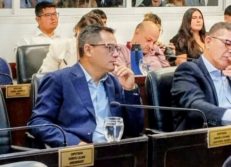 «Tenemos que terminar con las reelecciones indefinidas en Resistencia»