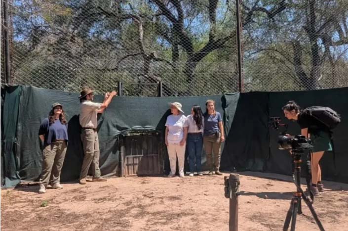 El Gobierno junto a la Fundación Rewilding liberaron a la yaguareté Acaí
