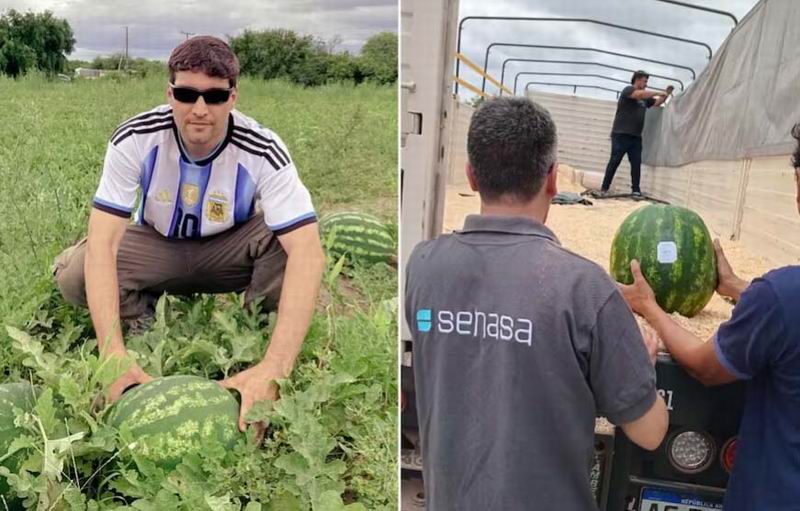 Salió el primer camión con sandía a granel con destino a Uruguay