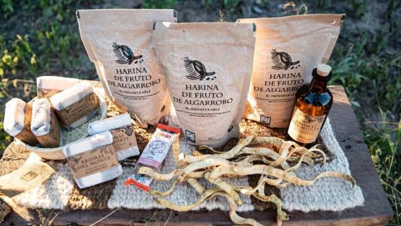 La harina de algarroba es el producto de El Impenetrable que conquista mercados