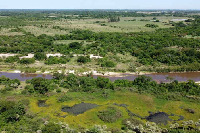 Destacan la importancia de preservar y recuperar los humedales del Paraná