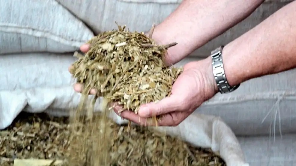 El gobierno liberó el precio de la yerba mate y el Instituto Nacional ya no podrá fijarlo