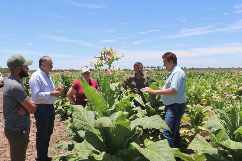 Dudik destacó la producción tabacalera en el Zapallar Norte y Los Paraguayos