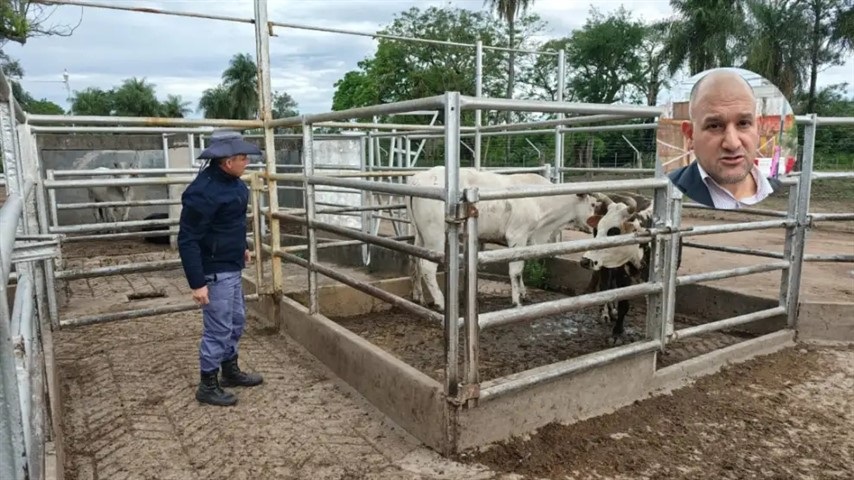 Abigeato: doble allanamiento en La Leonesa con el traslado de Ricardo Osuna al lugar