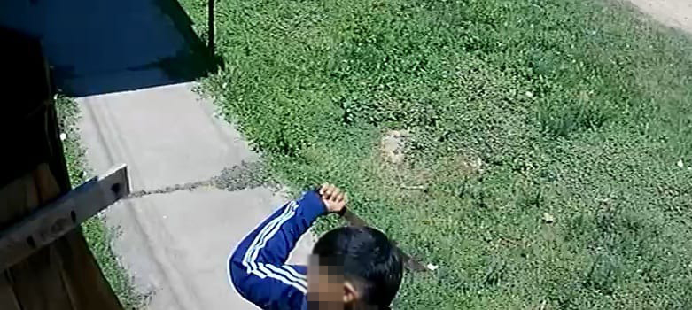 La atacaron por tener cámaras de seguridad