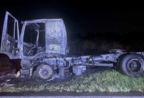Un camión se incendió en pocos segundos en la ruta 95