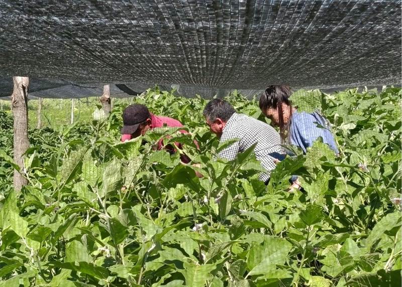 Proder refuerza el acompañamiento a pequeños productores del Interior
