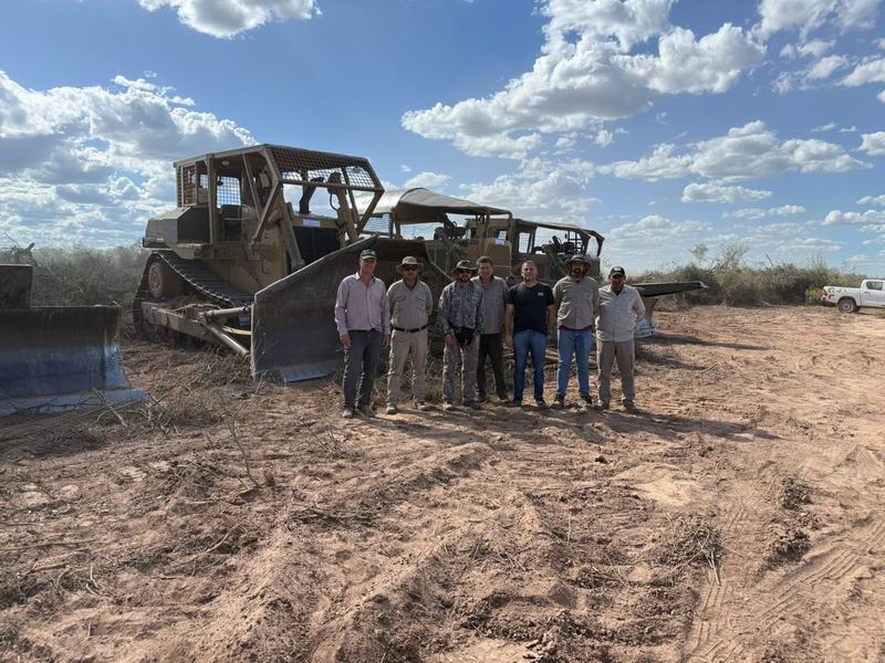 Detectan desmonte ilegal de 550 hectáreas; se reactiva la alerta ambiental