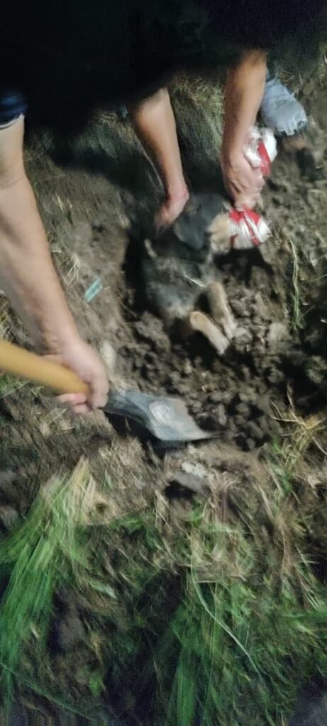 Maldad pura: enterraron vivo a un perro en un pozo