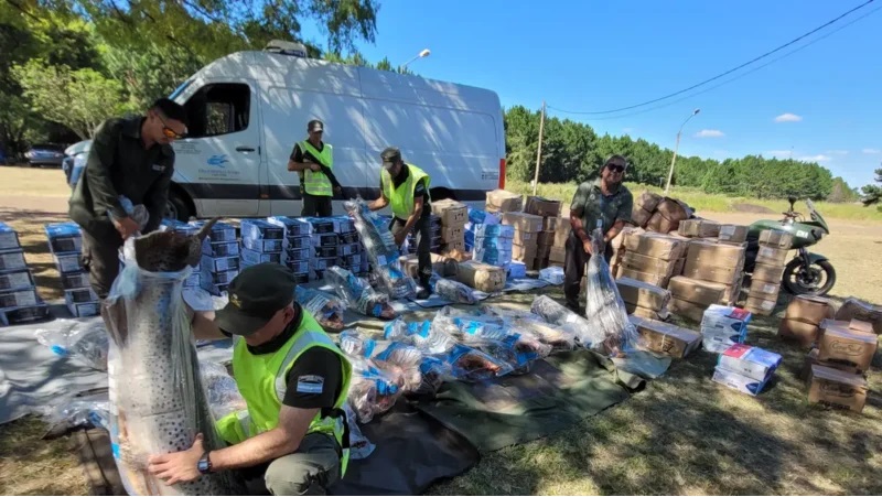 Corrientes: interceptaron a un chaqueño con una millonaria carga ilegal de pescados