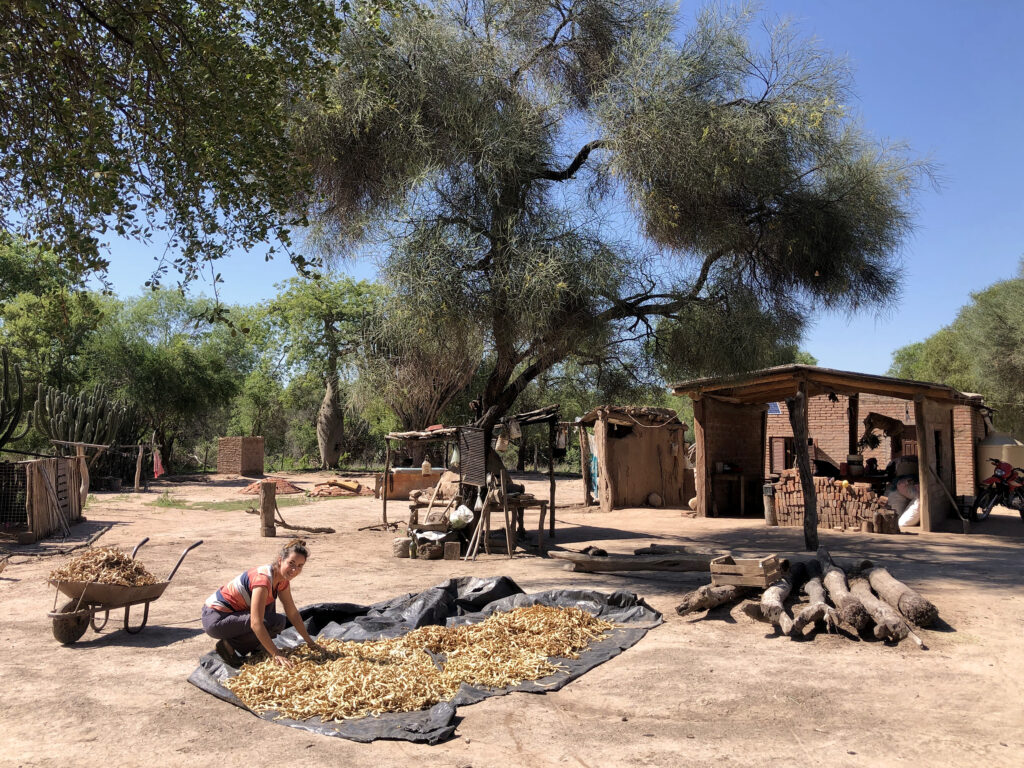 Entre 12% y 14% de las viviendas rurales en el Chaco están vacías