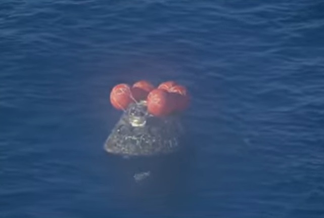 VIVO: la Misión Artemis II amerizó con éxito en el océano Pacífico