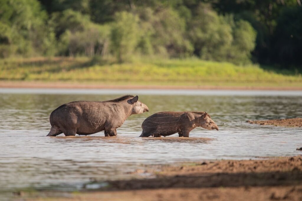 Chaco consolidó en Semana Santa su perfil turístico de permanencia corta
