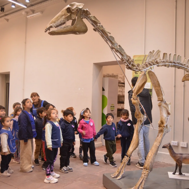 Los museos celebran su día con una semana de actividades