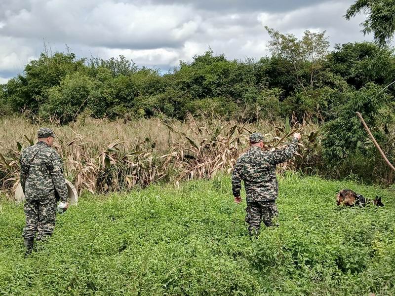 Los escándalos en la fuerza policial aumentan día a día