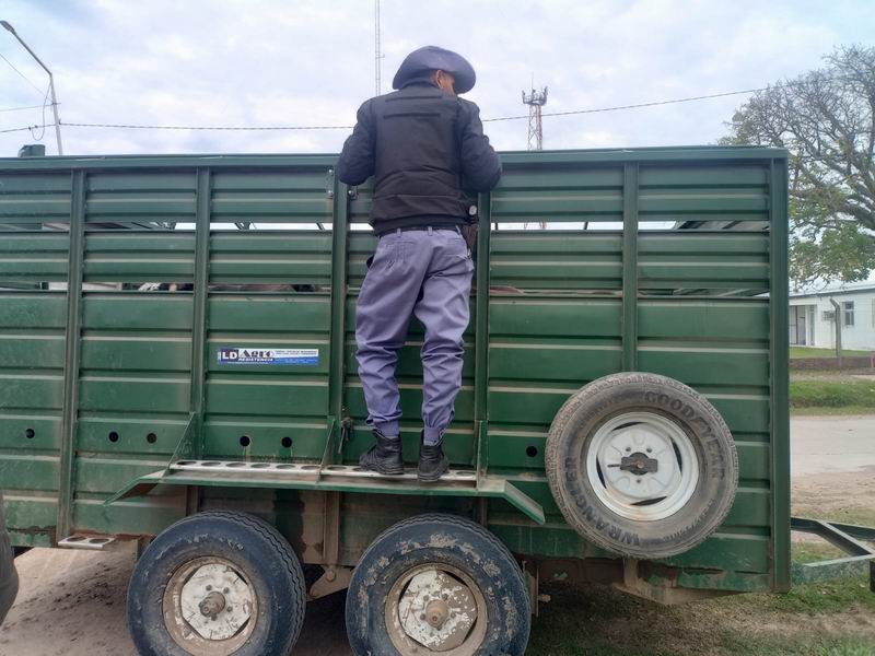 Intensifican controles rurales por transporte ilegal de hacienda
