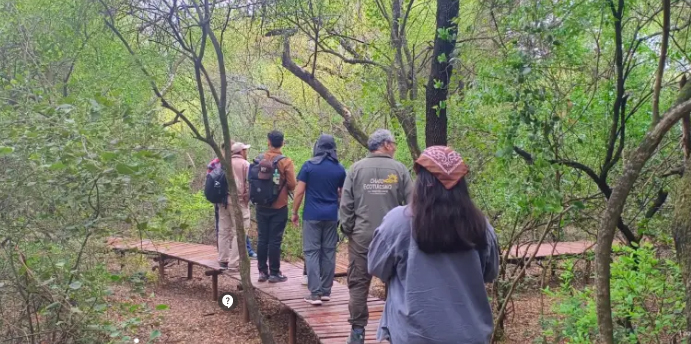 Rewilding Argentina abrió convocatorias para voluntariados en El Impenetrable