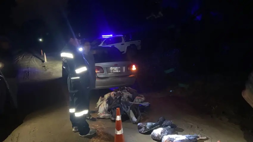 Antequeras: interceptaron a un formoseño con 150 kilos de pescado sin papeles