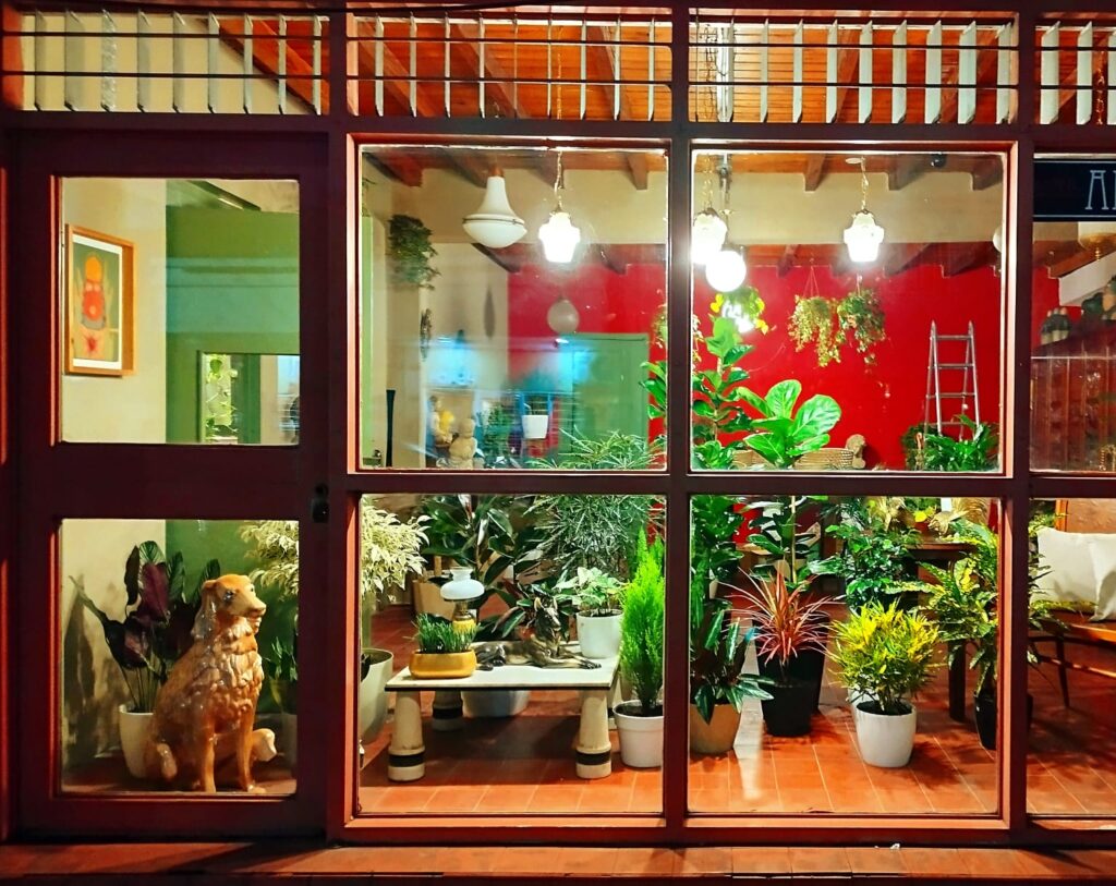 Naturaleza, arte y diseño confluyen en el nuevo espacio Bambú