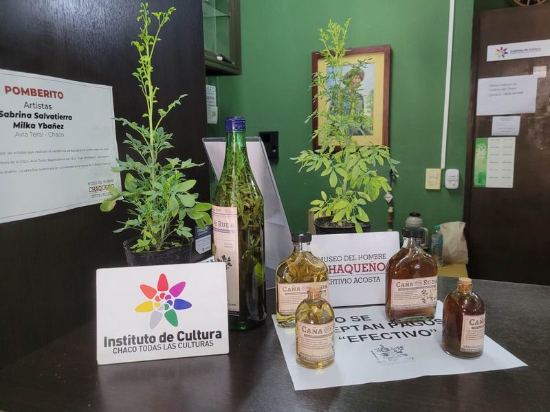 Caña con ruda: la tradición invita a cumplir el ritual del 1 de agosto
