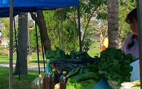 Exitosa Feria de Emprendedores y Pesca Infantil de Puerto Eva Perón