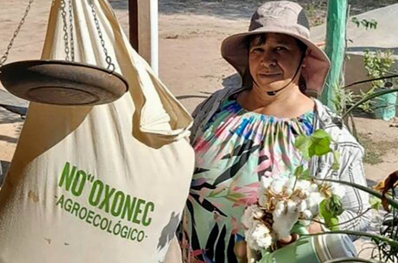 No’oxonec, única experiencia argentina de algodón agroecológico industrializado