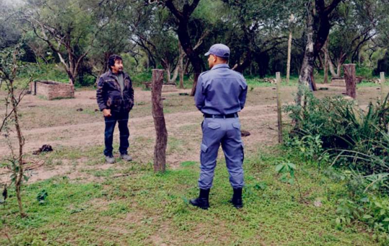 Buscan a un yaguareté que según vecinos deambulaba por la zona