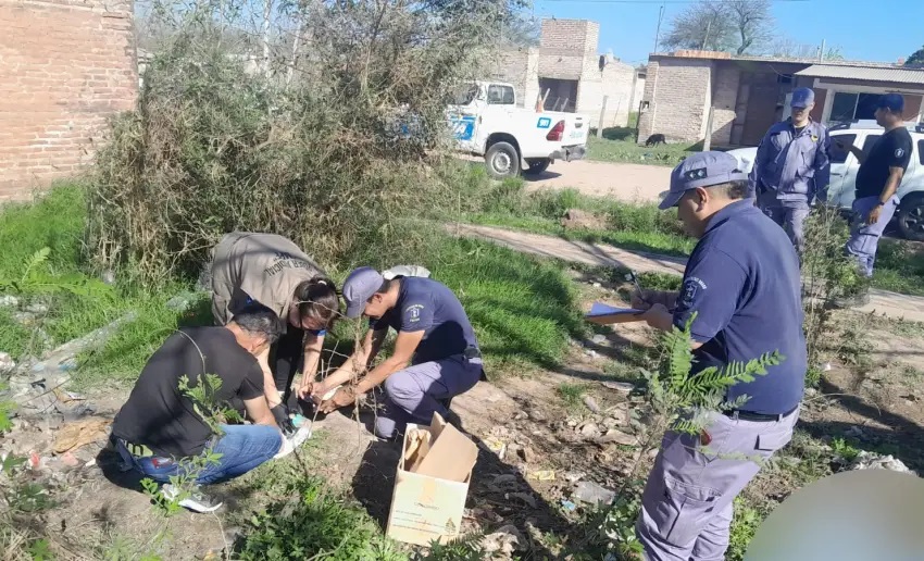Quitilipi: hallaron un cráneo cerca de un basural y ordenaron peritajes para identificarlo
