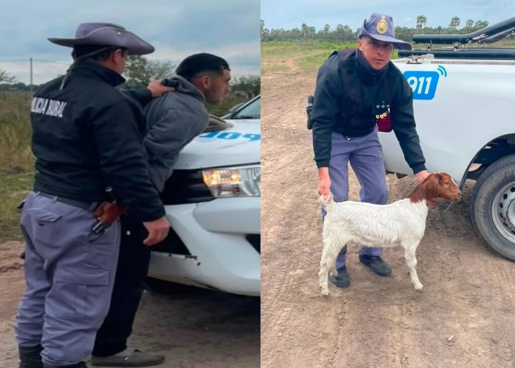 Escapaban de la Policía con una cabra robada, la arrojaron del auto y terminaron detenidos