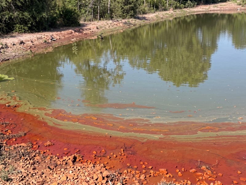 Respaldan fallo que protege a familias rurales fumigadas