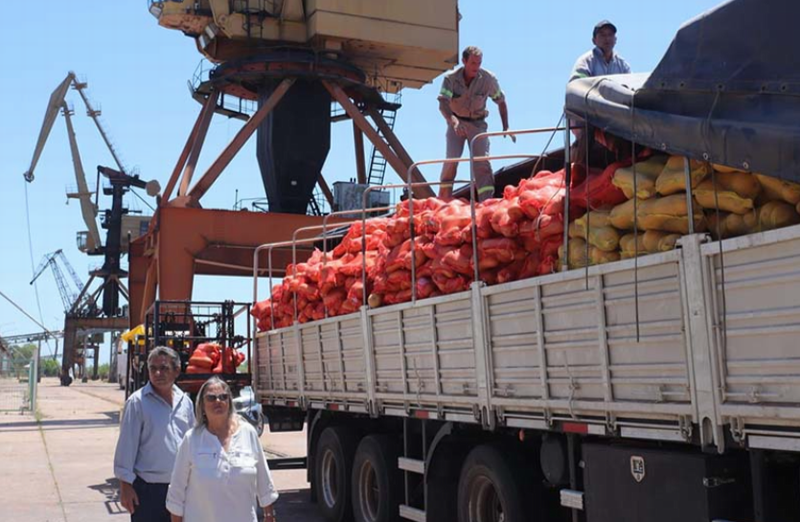 Exportaciones: Chaco y 7 provincias muestran alzas superiores al total nacional en el 1° semestre 2026