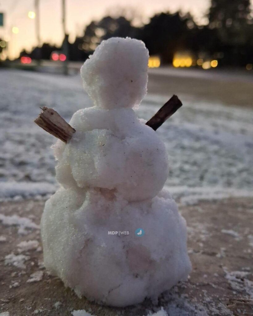 TENDENCIA EN X| La nieve llegó a Mar del Plata y los vecinos filmaron el inolvidable momento