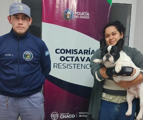 Otto volvió a casa: esclarecieron el supuesto hurto de un bulldog francés en Resistencia
