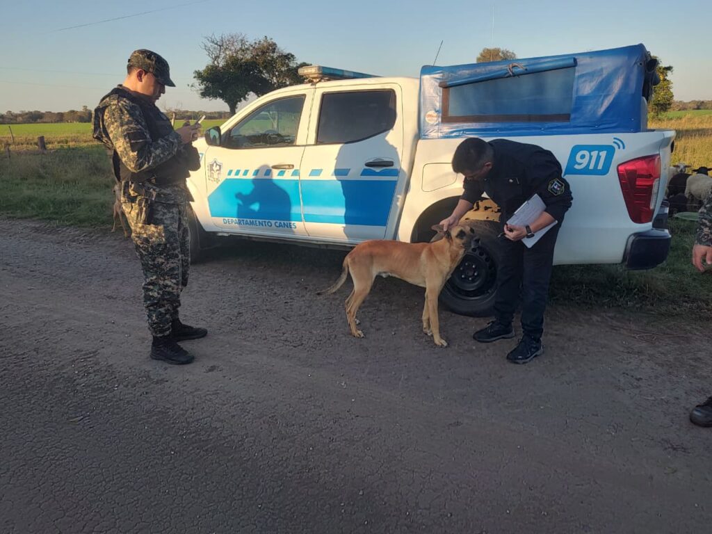 Allanamiento en Basail: rescataron cuatro perros en una causa por presunto maltrato animal