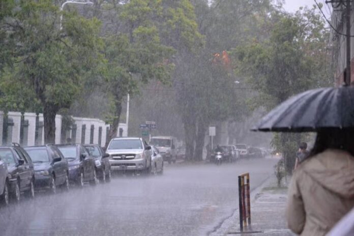Fenómeno de El Niño: advierten sobre la necesidad de preparar a los municipios
