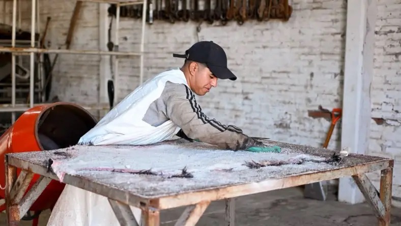 El Chaco comienza a exportar cuero caprino