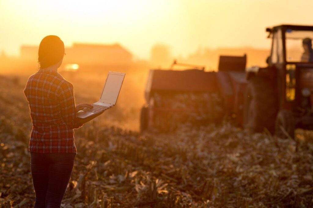 El Banco Nación lidera el financiamiento al agro con una cartera de $4,5 billones y crecimiento récord