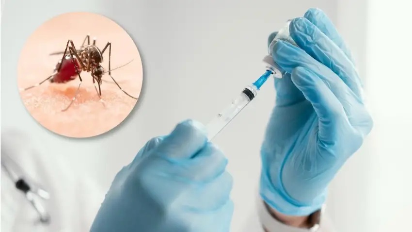 Chaco amplía la vacunación contra el dengue: Qdenga ya está disponible desde los 4 años