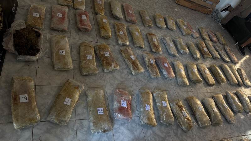 Hallaron más de 75 kilos de droga en conocida concesionaria