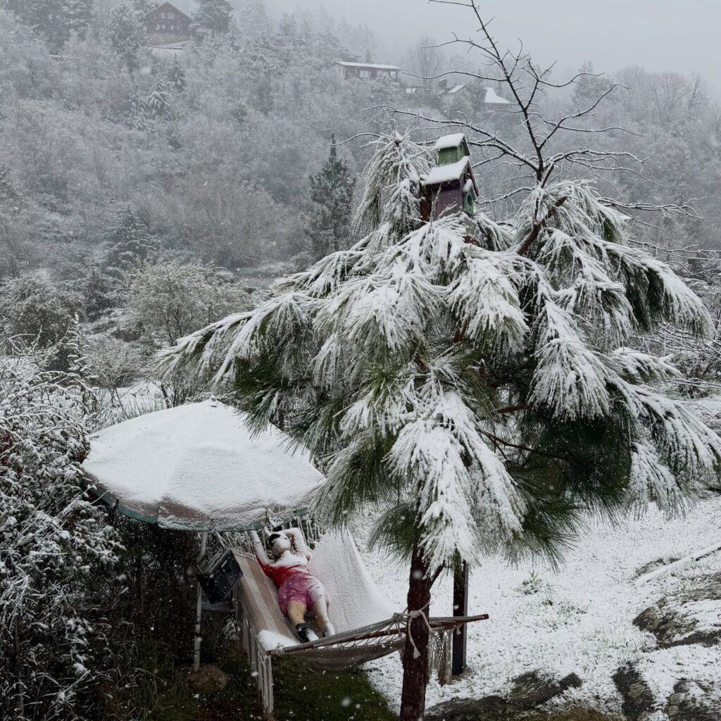 Es septiembre, pero cae nieve en Córdoba: cubrió de blanco varios puntos, las encantadoras postales